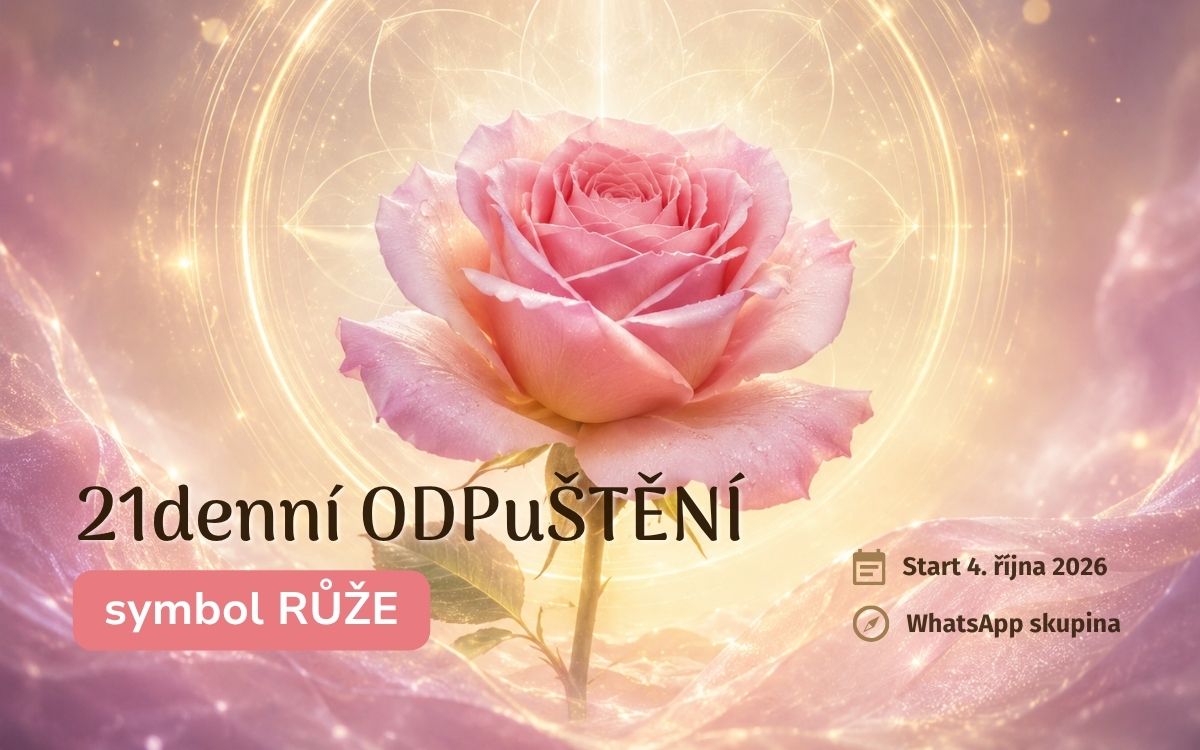 21denní ODPuŠTĚNÍ symbol RŮŽE